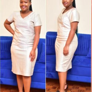 Silver Textured V-Neck Sheath Dress – Premium Short Sleeve Official Midi Dress